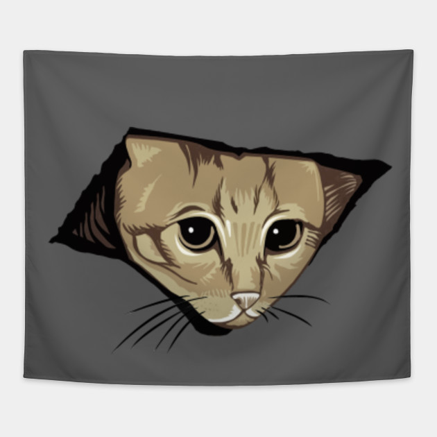 Ceiling Cat