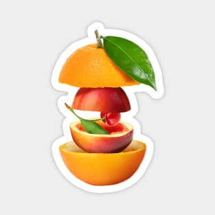 Orange Peach Cherry Gifts Vegetarian Magnet