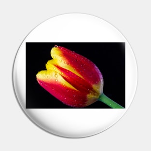 Dew Covered Red And Yellow Tulip Pin