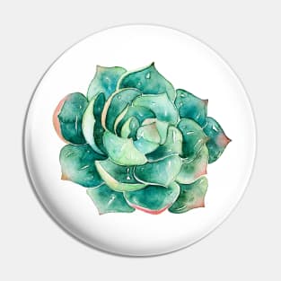 Watercolor hand painted botanical Succulent sticker Pin