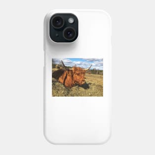 Scottish Highland Cattle Cow 2374 Phone Case