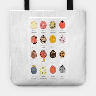 Ladybird, Ladybird Tote