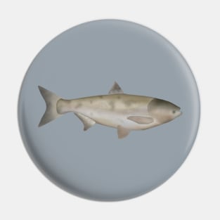 Bighead Carp Pin