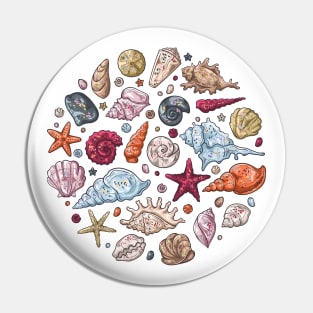 Seashells different types hand drawn Pin