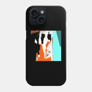 CAT COLORS AND COLORS Phone Case