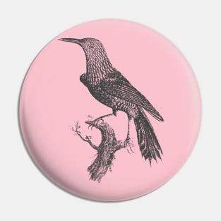 Bird illustration Pin