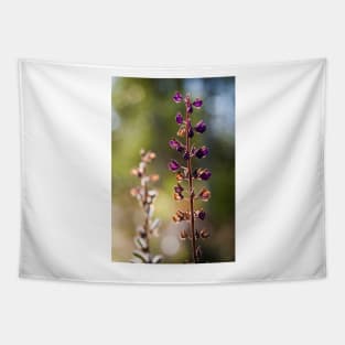 Lupine Tapestry