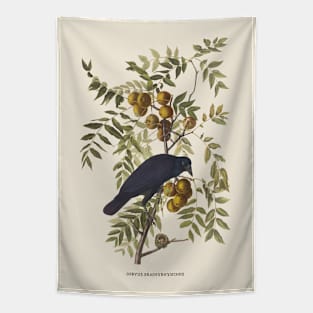 American Crow Antique Naturalist Illustration Tapestry