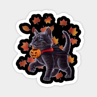 Cat In A Vampire Costume Holding A Pumpkin. Halloween Kitten Magnet