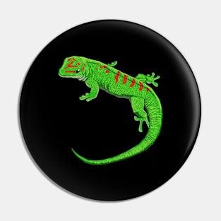 Drawing - Madagascar day gecko Pin