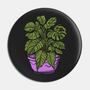 Monstera plant Pin