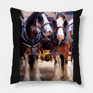 Pair of Working Horses Pillow