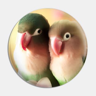 Snuggling Lovebird Watercolor Parrot Pair Pin