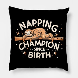 Napping champion since birthday Pillow