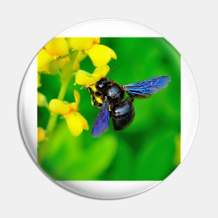 Violet Carpenter Bee Pin