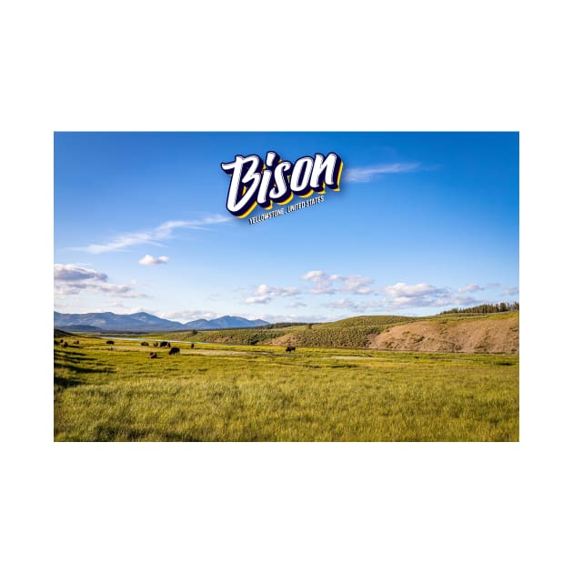 Bison at Yellowstone by Gestalt Imagery