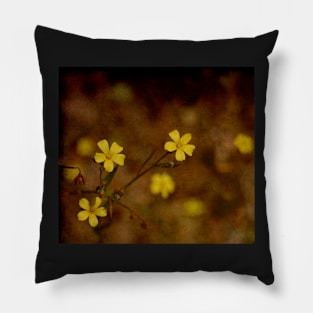 Yellow and Brown Pillow