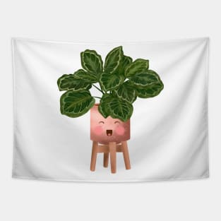 Cute Plant Illustration, Philodendron Burle Marx Variegated Tapestry