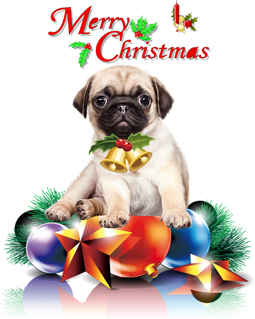 Merry Christmas Pug Kids T-Shirt by cameradog