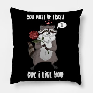 You Must Be trash Cuz I Like You Raccoon Pillow