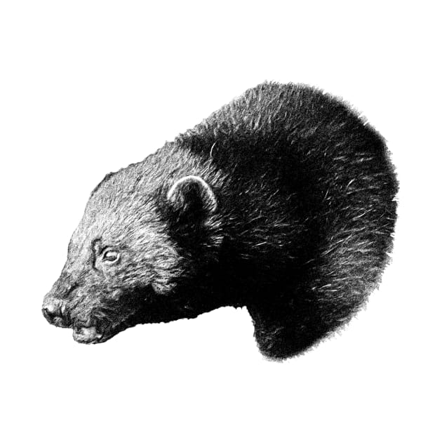 Wolverine portrait by Guardi