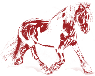 Horse Magnet
