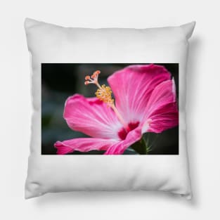 Hibiscus Love II Pillow