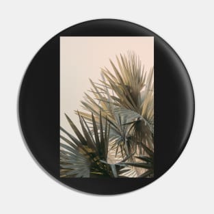 Palm Glow Pin