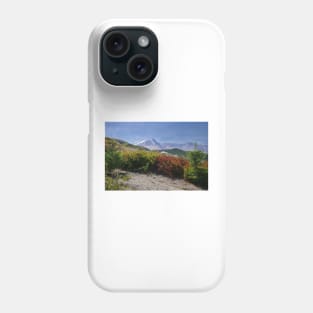 850_2284 Phone Case