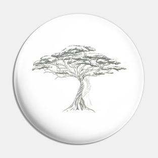 Acacia Shadow , black and white beautiful zen tree Pin