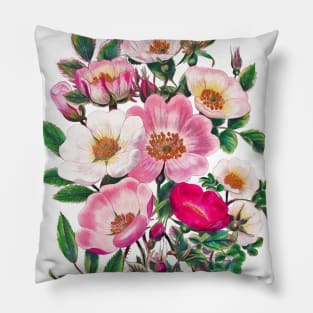 Wild roses Pillow