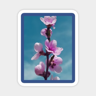 Blossoming peach tree with pink flowers, altered photo Magnet