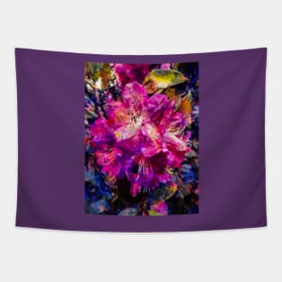 The Colourful Rhododendron Tapestry