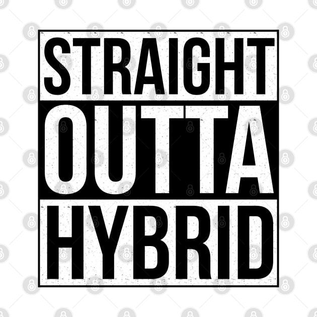 Straight Outta Hybrid - Hybrid School for Teachers and Kids by DiegoCarvalho