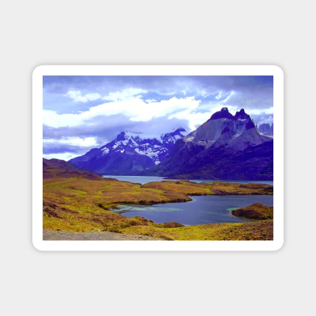 Lagoa Pehoe Torres del Paine Magnet by stevepaint