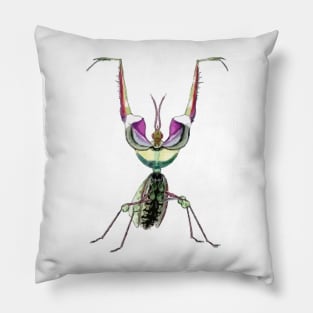 Praying Mantis Digital Painting Pillow