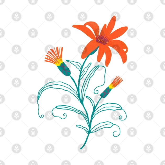 Illustrated orange wildflower by agus.cami