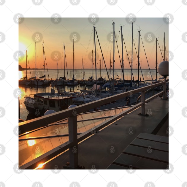 Peaceful sunset over marina with sailboat mast on Baltic sea in Langballig yachting harbor, Schleswig- Flensburg, Germany by Khala