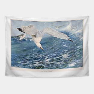Silver Gull Tapestry
