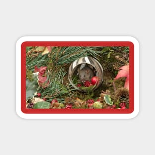 Christmouse - festive wild mouse Magnet