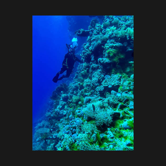 Coral reef and scuba diver by likbatonboot