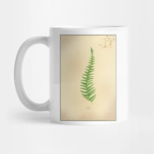 Summer Fern Simple Modern Watercolor Coffee Mug by Modern Tropical