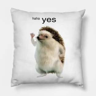 Haha yes Pillow