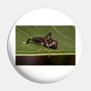 Soldier Fly Pin