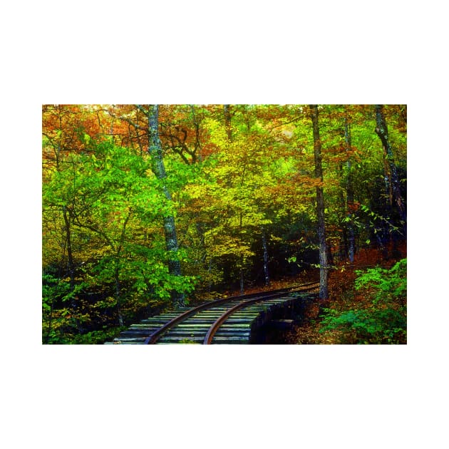 Train Tracks into the Woods by Rodwilliams