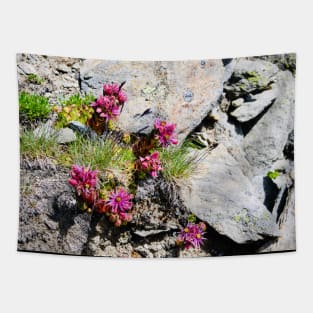 Rock & flowers Swiss Alps Tapestry