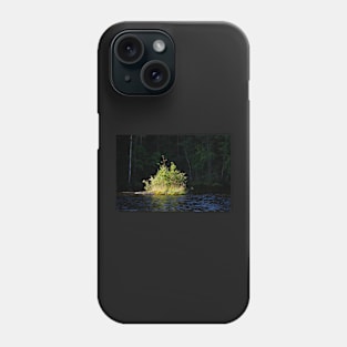 Small lush island in sunlight at lake shore Phone Case