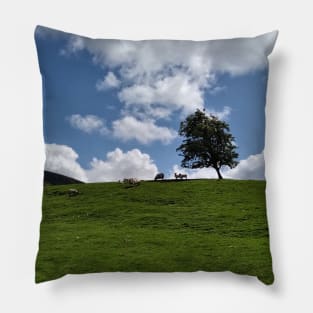 Grazing sheep in a field near Stirling, Scotland, UK Pillow