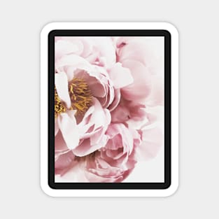 Flowers print, Pink, Pastel, Fashion print, Scandinavian art, Modern art, Wall art, Print, Minimalistic, Modern Magnet