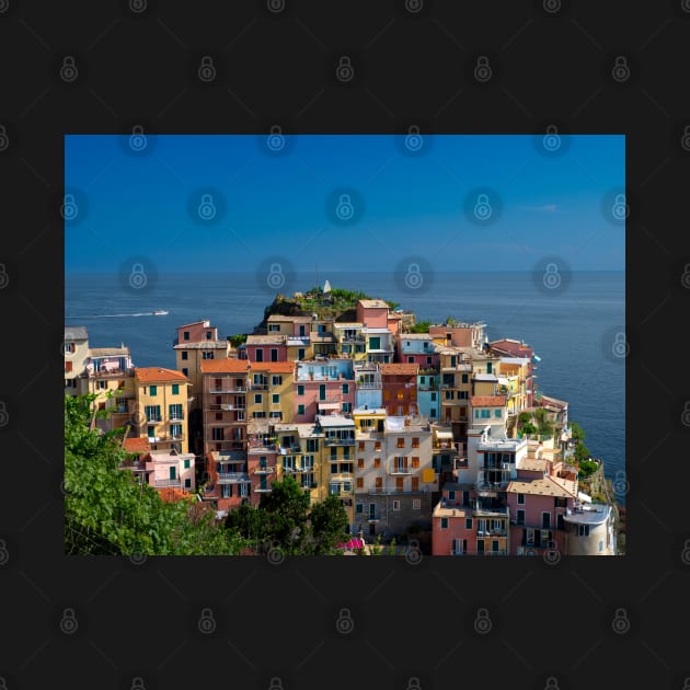 View on the cliff town of Manarola, one of the colorful Cinque Terre on the Italian west coast by Dolfilms